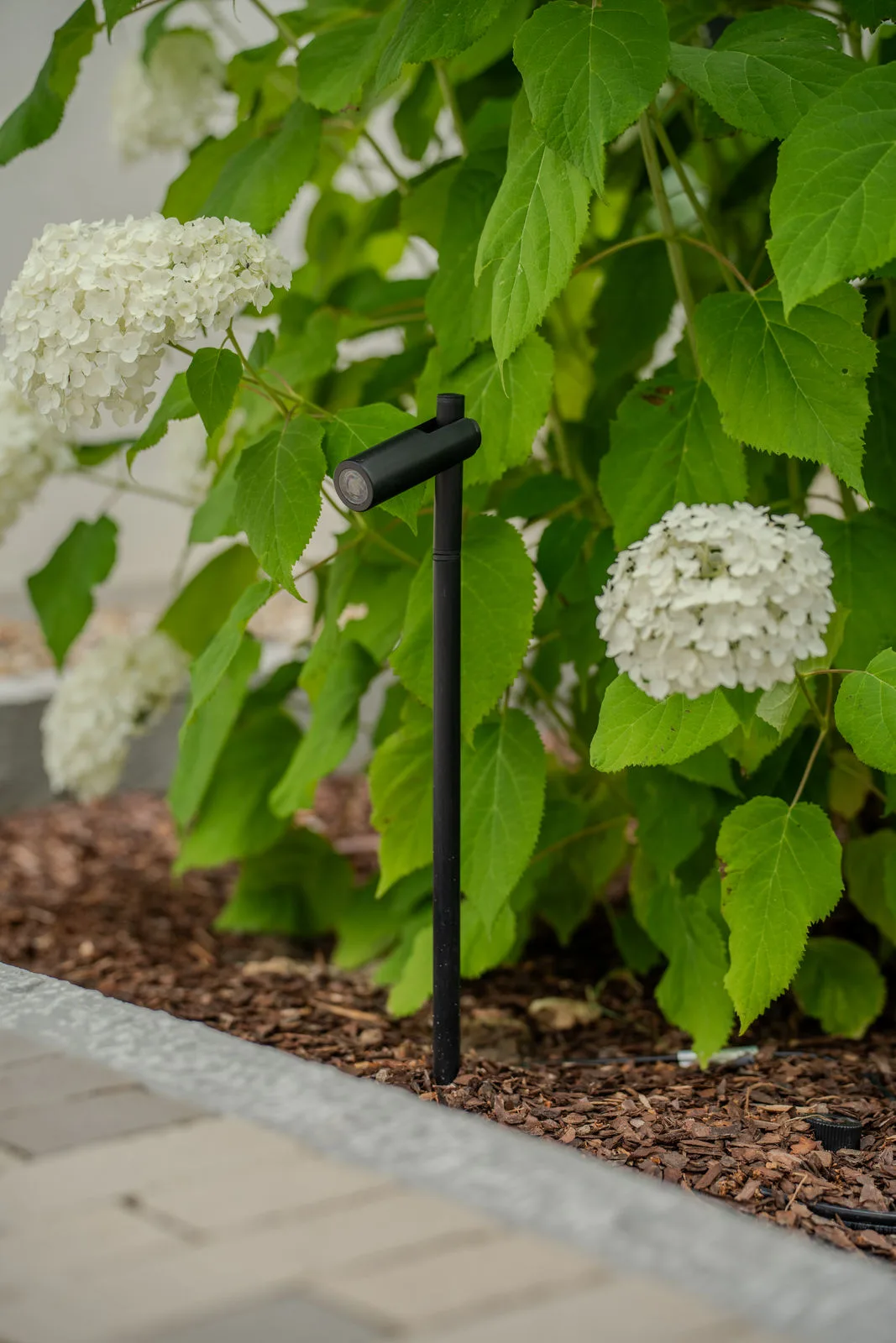 Eine dezente Gartenbeleuchtung zwischen Hortensien