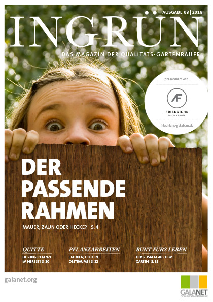 INGRÜN 03/2018